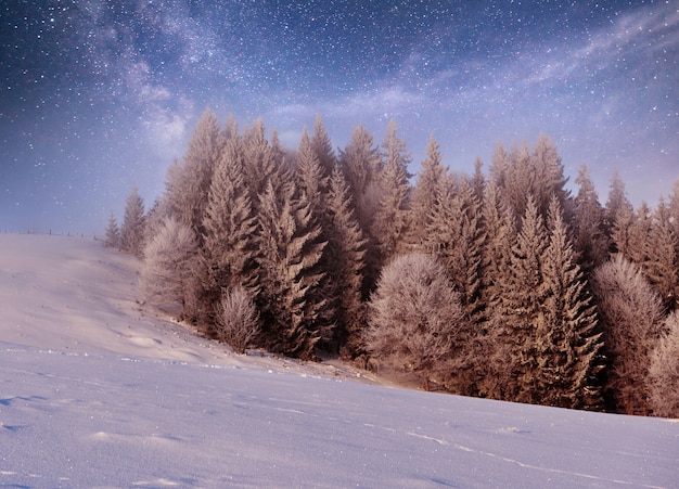 Montanhas misteriosas da paisagem misteriosa do inverno no inverno.