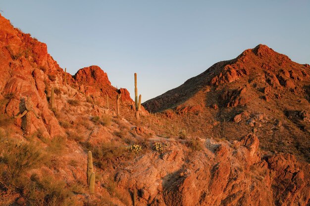 Montanhas rochosas com paisagem de fundo do deserto