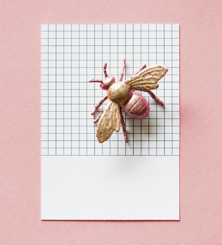 Foto grátis mosca em miniatura colorida em um papel
