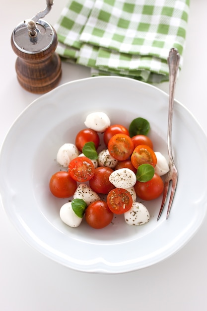 Foto grátis mozzarella com tomates