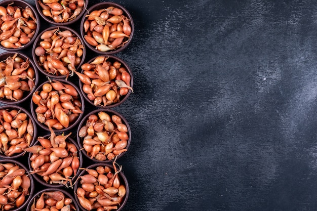 Muitas cebolas pequenas ou chalotas em taças vista superior em uma mesa escura