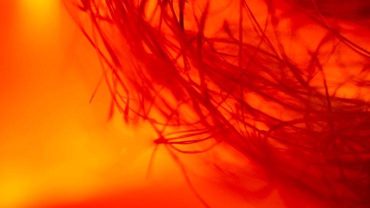 Foto grátis muitas fibras vermelhas abstratas
