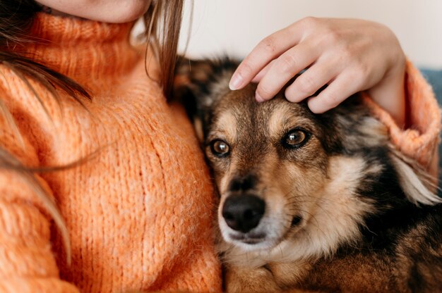 Mulher acariciando cachorro adorável