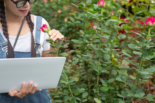 Foto grátis mulher agrícola que guarda uma tabuleta no jardim de rosas.