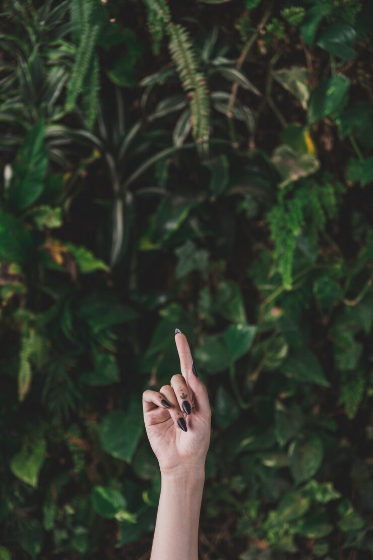 Foto grátis mulher, apontar, dedo, cima, contra, planta