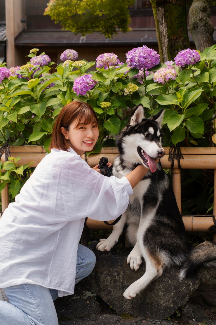 Foto grátis mulher asiática passeando com seu cachorro husky ao ar livre