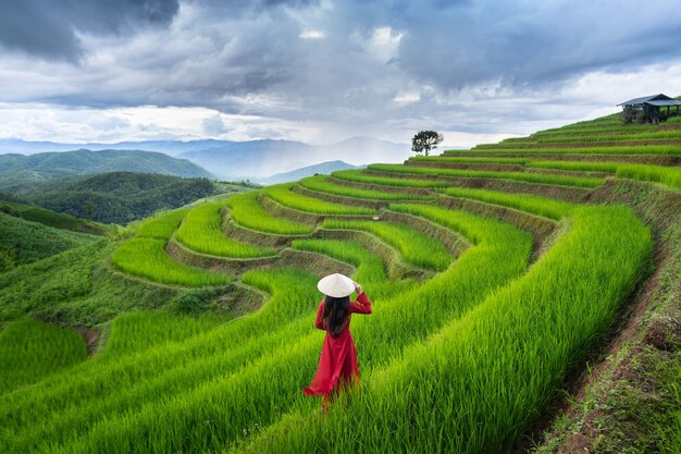 Mulher asiática vestindo a cultura tradicional do Vietnã no terraço de arroz de Ban pa bong piang em Chiangmai, Tailândia