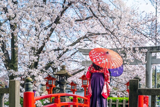 Mulher asiática vestindo quimono tradicional japonês e flor de cerejeira na primavera, templo de Kyoto no Japão.
