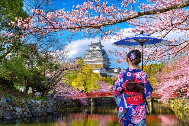 Mulher asiática vestindo quimono tradicional japonês, olhando para as flores de cerejeira e o castelo em Himeji, Japão.