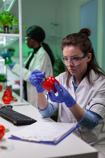 Mulher bióloga examinando pimenta escrevendo perícia médica em microbiologia