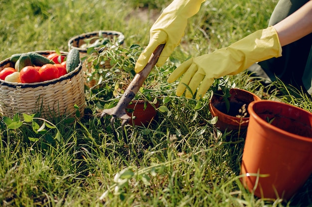 Mulher bonita em um campo de verão