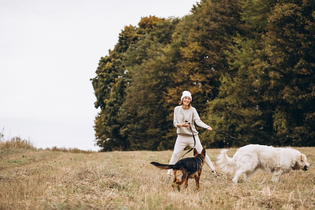 Mulher bonita, passeando com seus cães em um campo