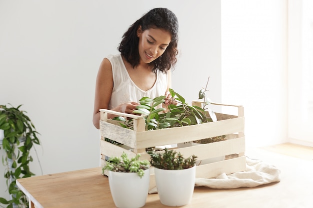 Mulher bonita sorrindo cuidando das plantas em caixa no local de trabalho