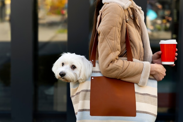 Foto grátis mulher carregando cachorro na bolsa vista lateral