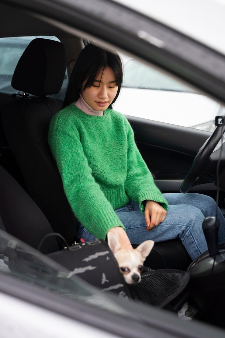 Foto grátis mulher carregando seu animal de estimação no carro