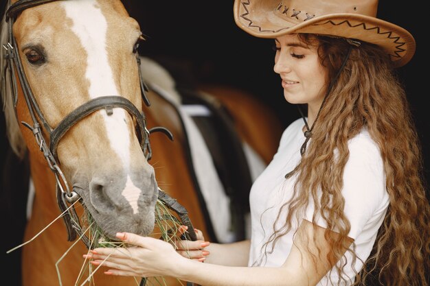 Mulher cavaleiro alimentando seu cavalo com um feno em um estábulo. Mulher tem cabelo comprido e camiseta branca. O fundo é escuro e preto.