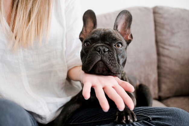 Mulher com buldogue francês pequeno bonito