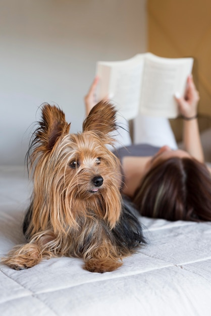 Mulher com cachorro ao lado da leitura