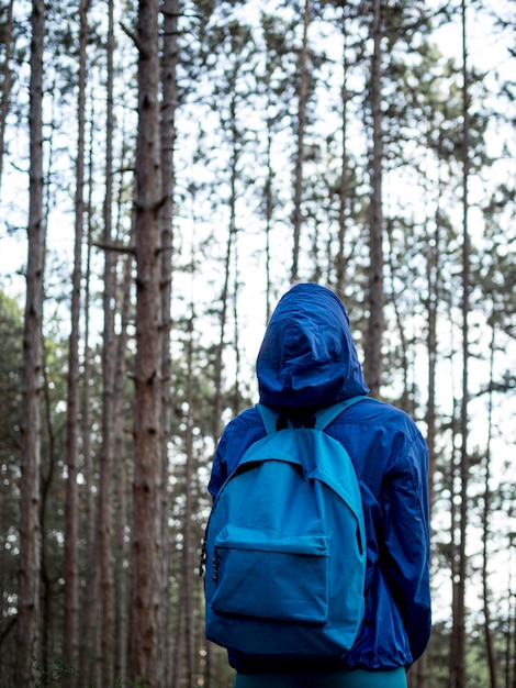 Foto grátis mulher com mochila na floresta