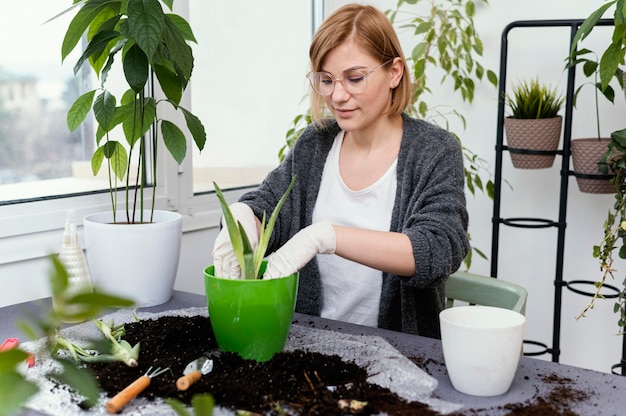 Mulher com tiro médio fazendo jardinagem dentro de casa