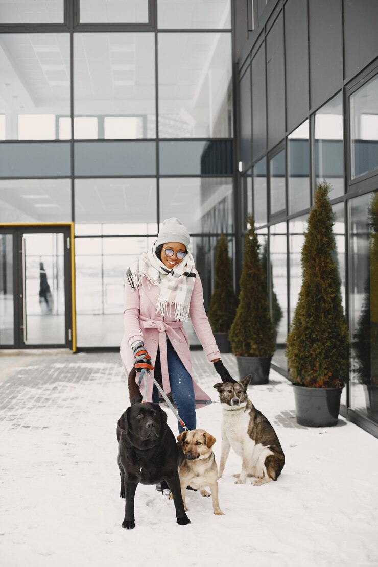 Foto grátis mulher com um casaco rosa, passeando com cachorros