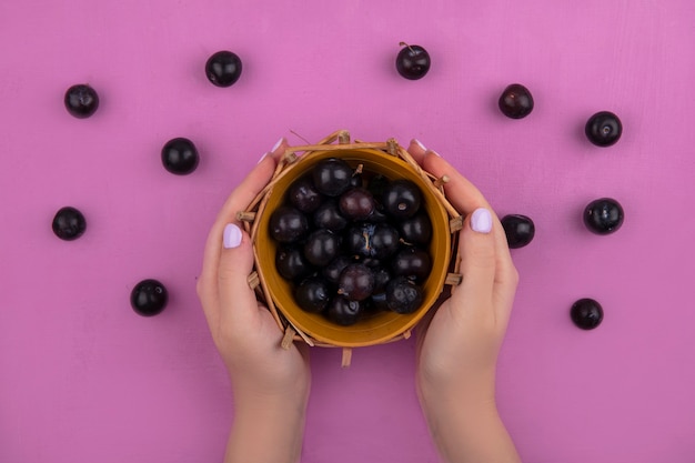 Foto grátis mulher com vista superior segurando uma cesta com ameixa de cereja em um fundo rosa