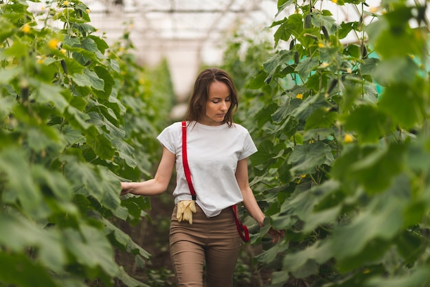 Mulher, cuidando, de, plantas, em, um, estufa