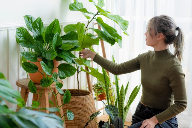 Mulher cuidando e cuidando de sua planta