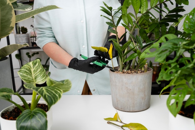 Mulher cultivando plantas de perto