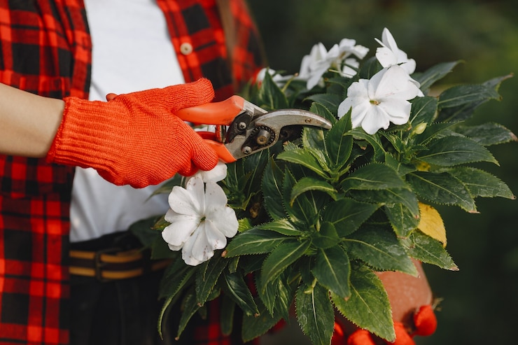 Foto grátis mulher de camisa vermelha. trabalhador com potes de flores. filha com plantas