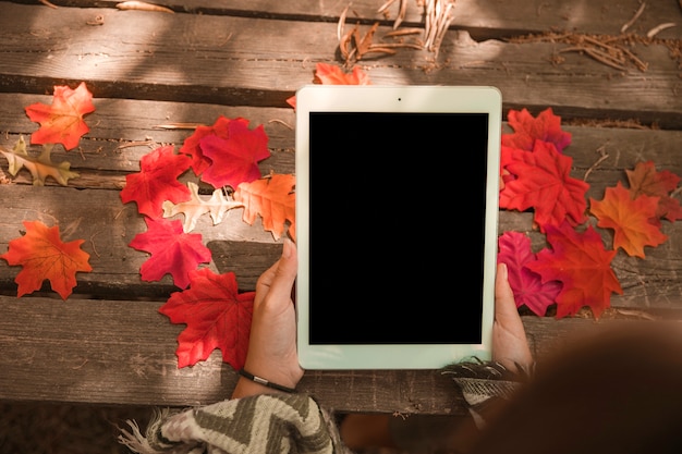 Mulher de colheita com tablet moderno no parque outono