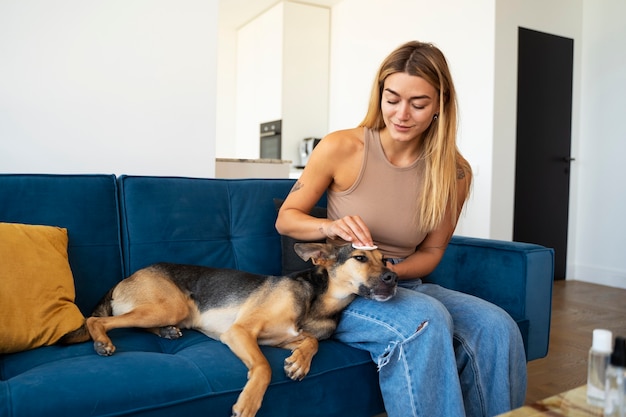 Mulher de tiro médio limpando cachorro em casa