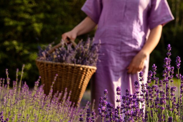 Mulher de vista frontal segurando a cesta de lavanda