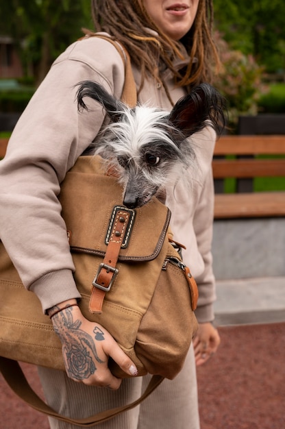 Foto grátis mulher de vista lateral carregando cachorro na bolsa