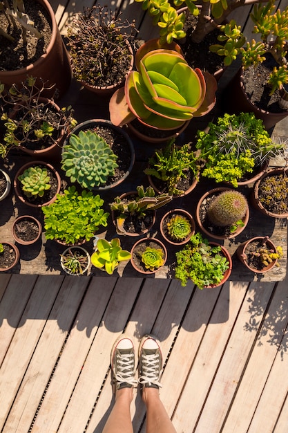 Foto grátis mulher de vista superior, ao lado de suas plantas