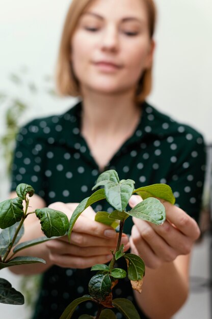 Mulher desfocada em foto média verificando planta