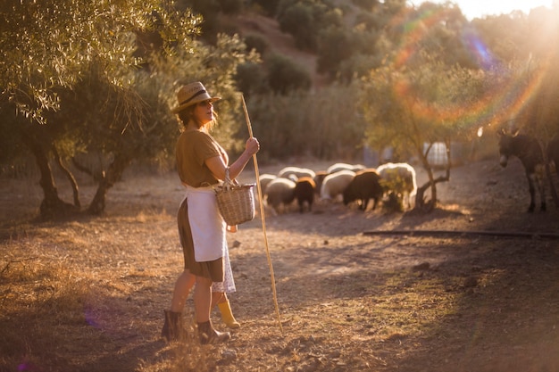 Foto grátis mulher, desgastar, chapéu, segurando, vara, herding, ovelhas, em, a, fazenda