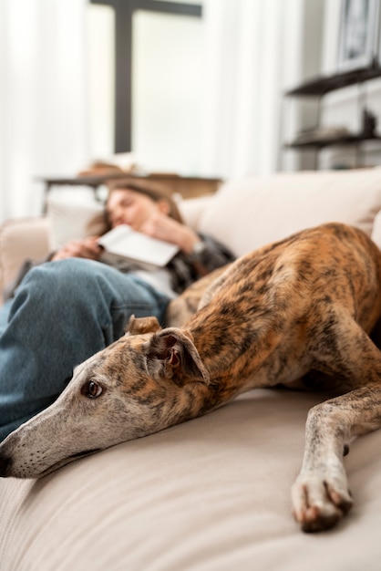 Foto grátis mulher e cachorro dormindo no sofá