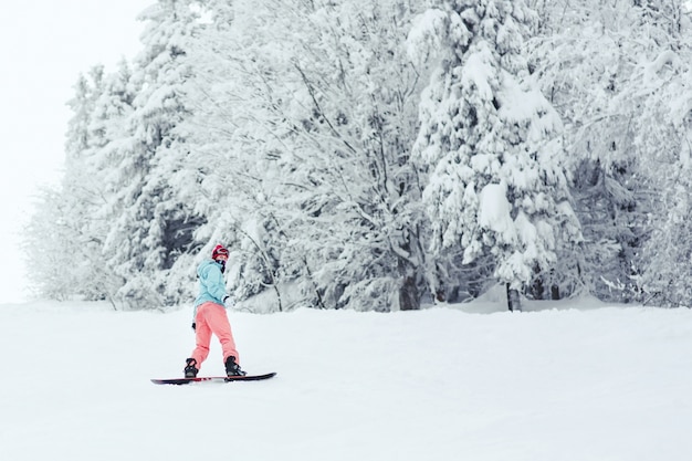 Foto grátis mulher em jaqueta de esqui azul e calças cor-de-rosa está no snowboard em algum lugar da floresta de inverno
