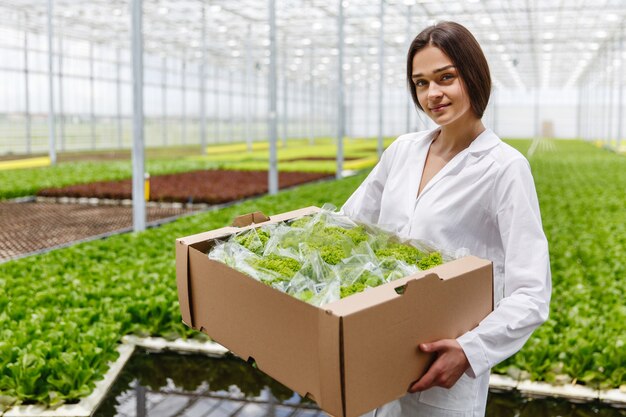 Mulher, em, um, laboratório, manto, segura, caixa grande, com, salada verde, ficar, em, um, estufa