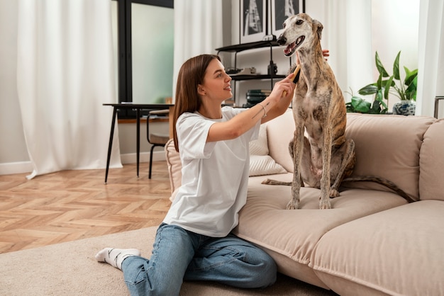 Foto grátis mulher escovando cachorro tiro completo