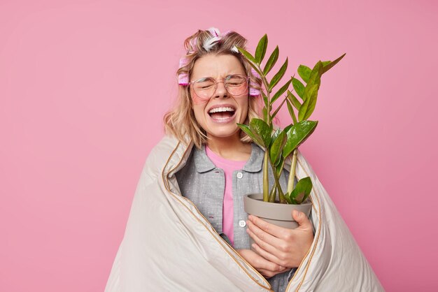 Mulher europeia chateada desesperada chora e tinha mau humor usa rolos de cabelo manchas de hidrogel sob os olhos segura planta em vaso embrulhada em cobertor isolado sobre fundo rosa Atmosfera doméstica