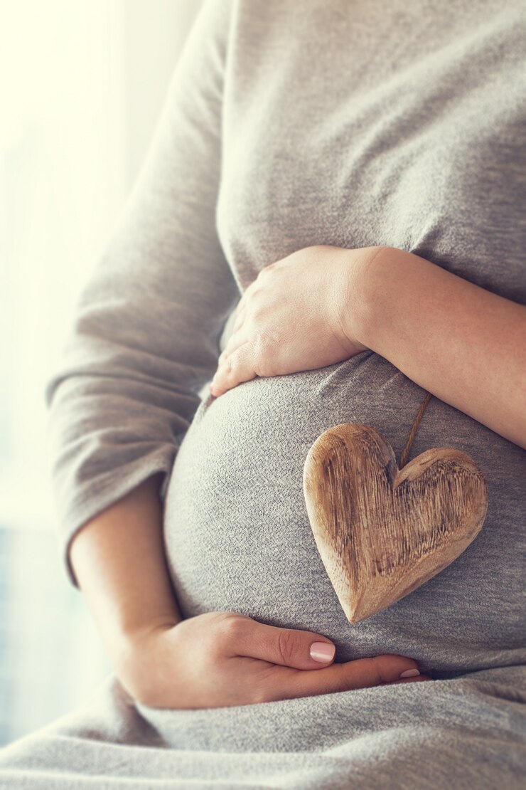 Foto grátis mulher gravida que prende um coração enquanto toca em sua barriga