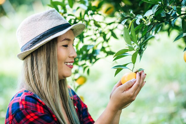 mulher havesting plantação de laranja