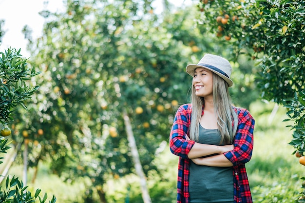 Foto grátis mulher havesting plantação de laranja