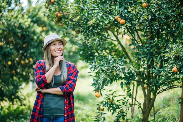 mulher havesting plantação de laranja