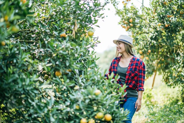 mulher havesting plantação de laranja