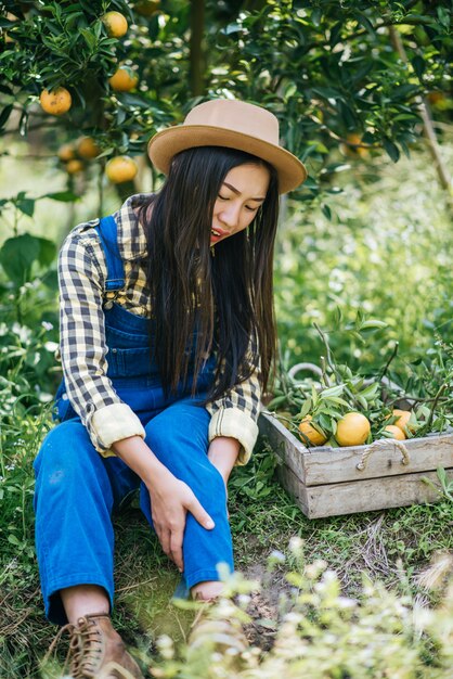 mulher havesting plantação de laranja