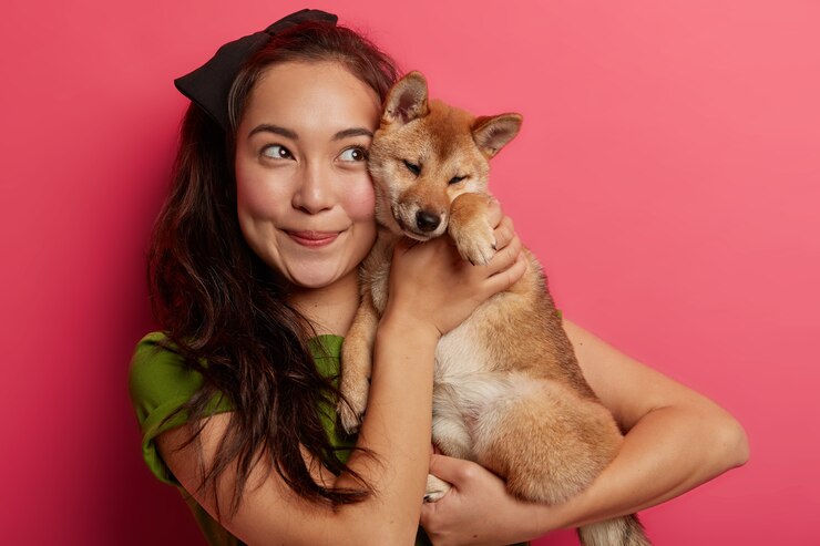 Foto grátis mulher jovem brinca com adorável bichinho doméstico, focada acima com expressão alegre, conforta cachorro shiba inu, posa com animal devotado
