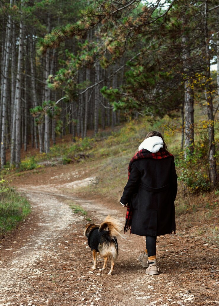 Foto grátis mulher jovem caminhando em uma floresta com seu cachorro